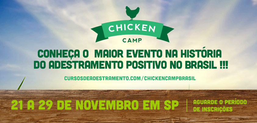 Chicken Camp Brasil Chicken Camp Brasil