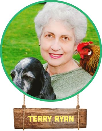 Terry Ryan - Chicken Camp Brasil